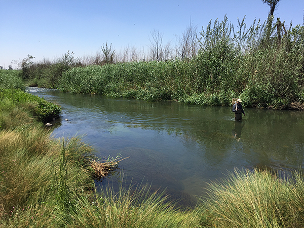 Johannesburg Water Aquatic Monitoring