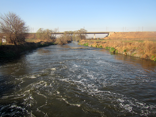 Aquatic Monitoring for Ekurhuleni Water Care Company