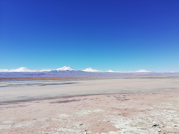 Early Alert Plan Update and Environmental Monitoring Project, Atacama Salt Flat