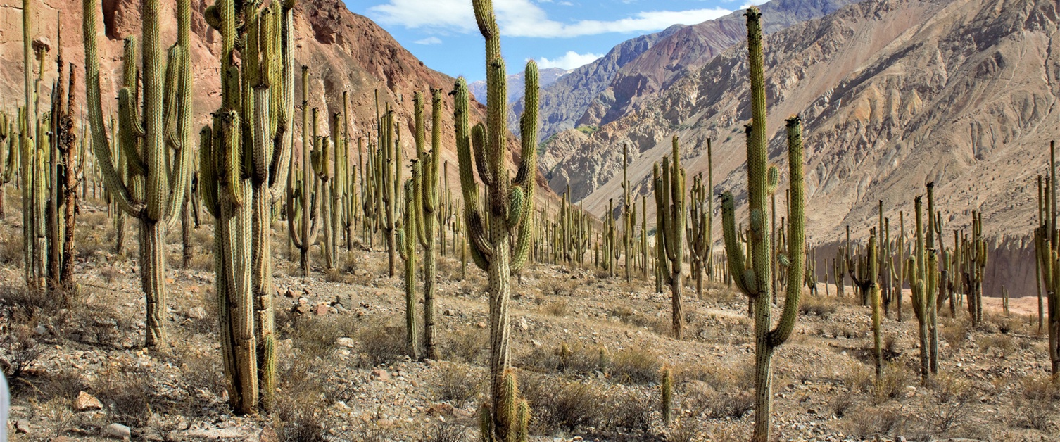 Peru