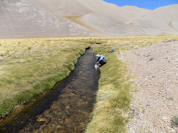 Proyecto de Cobre y Oro Josemaría